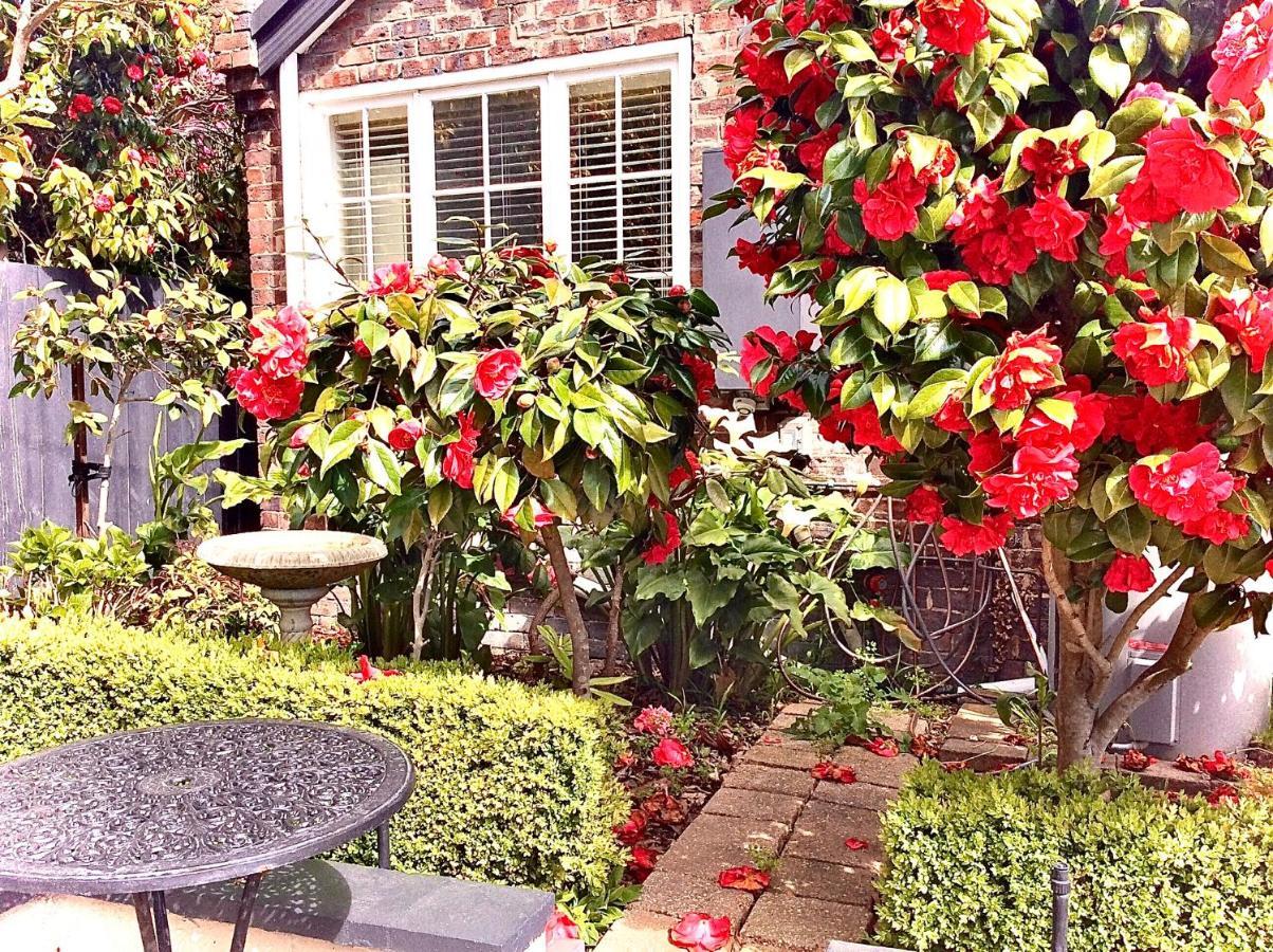 Bed and Breakfast Kurrajong House Лонсестон Экстерьер фото